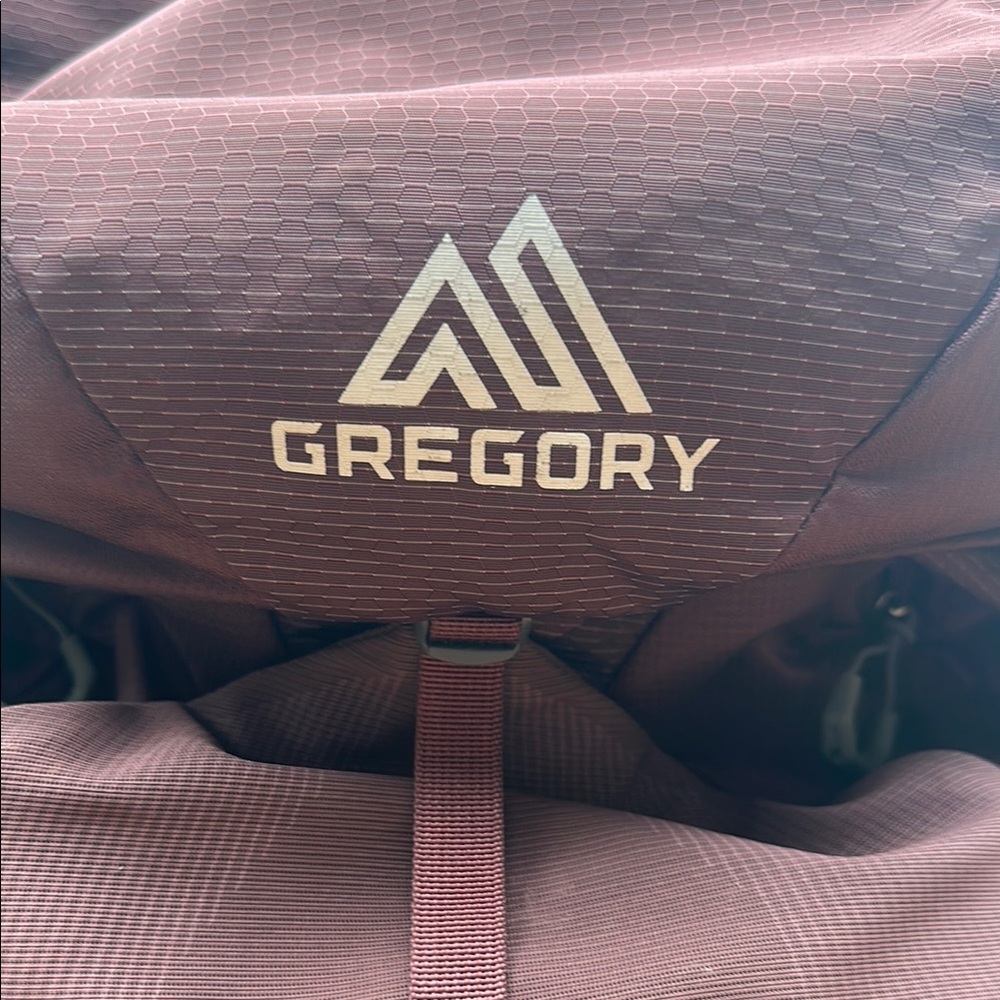 Gregory Maroon Women’s Deva 60 + Raincover - Picture 2 of 8